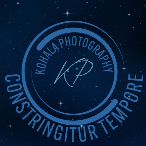 Kohala Photography 